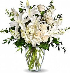 Envio y venta de flores ,rosas, plantas,arreglos florales ,regalos y desayunos a domicilio con delivery gratis en la Ciudad Autonoma de Buenos Aires y con costo de envo en localidades del Gran Buenos Aires asi como delivery de flores y plantas a travs de florerias asociadas en todas las provincias de la Argentina, Buenos Aires, la Pampa, Tucuman, La Rioja, Ro Negro, Entre Rios, Corrientes, Misiones, Neuquen, Chubut, Tierra del Fuego, Santa Cruz, San Luis, Mendoza, Cordoba, Jujuy, Formosa, Santiago del Estero, Salta, Chaco, Catamarca ,San Juan, y ademas realizamos el delivery de flores ,coronas,palmas , plantas y regalos a todas las ciudades de Argentina, Mar del Plata, Crdoba, Buenos Aires, con cargo en Santa Rosa, La Plata, Bella Vista, Neuquen, Pilar, Paran, Posadas, Resistencia, Cipolleti y mas de 300 ciudades y localidades en todo el territorio de nuestro pas, asi como tambien tenemos la posibilidad de enviar flores a casi todo el mundo en cuestion de horas